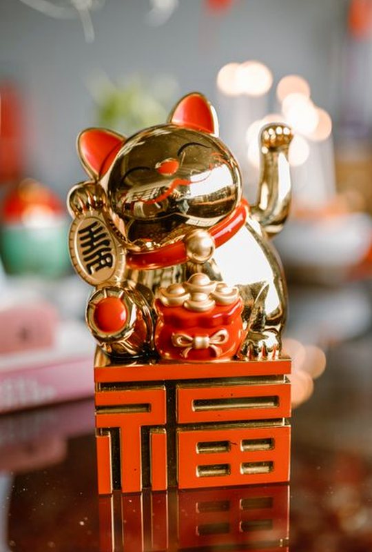 phản hồi Sodo